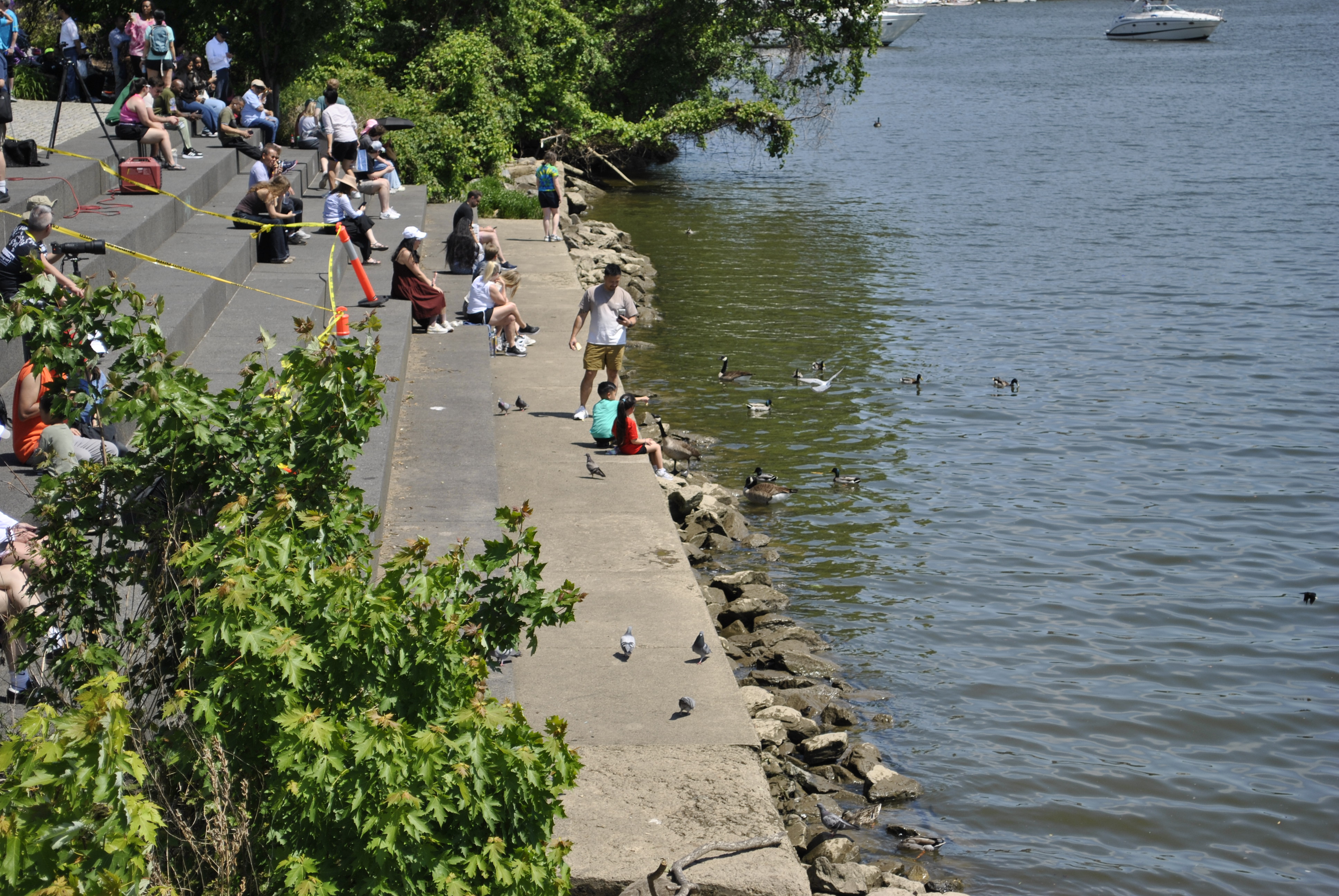 DC Dragon Boat Festival at Georgetown Waterfront Park